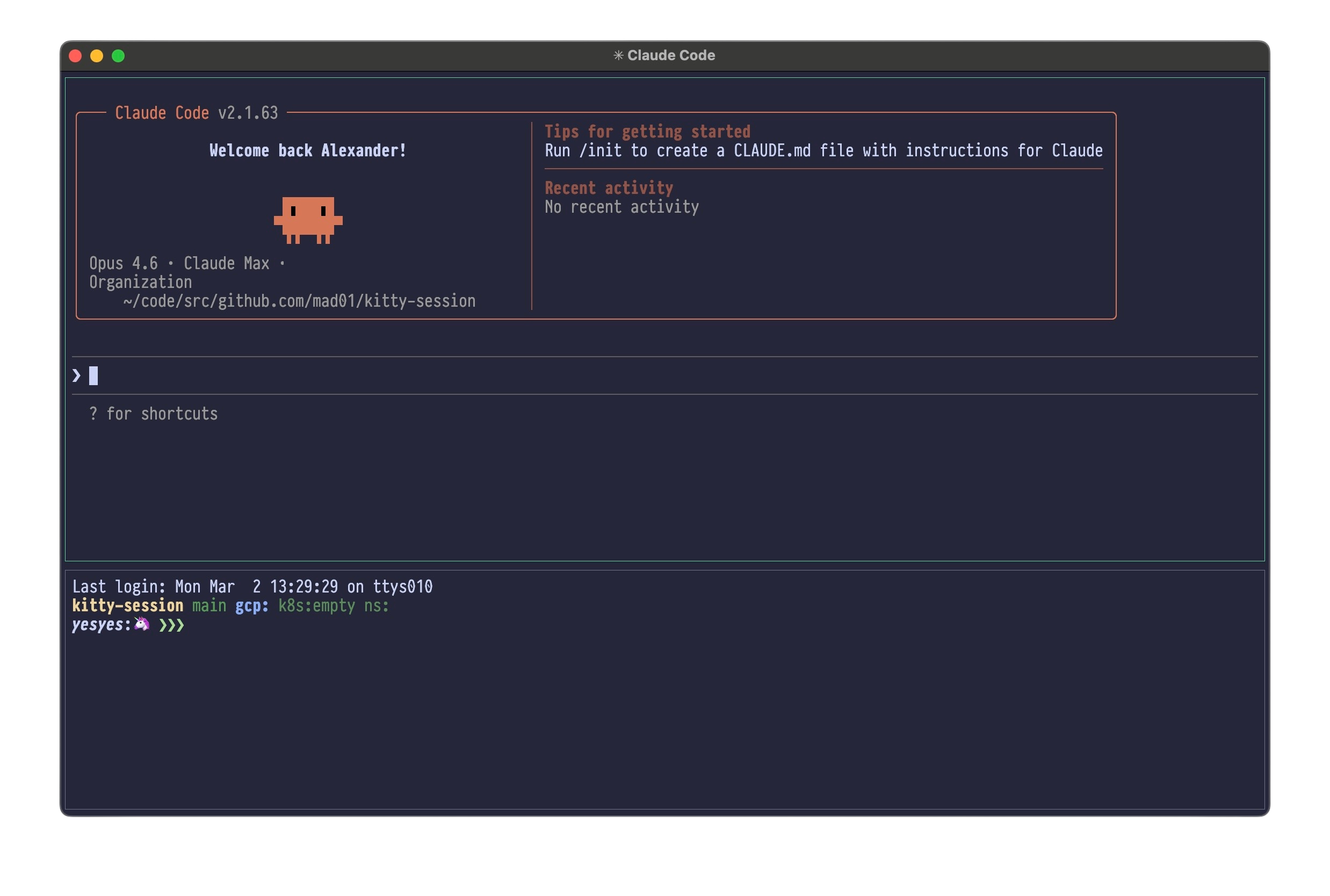 Running session with Claude Code on top and shell on bottom